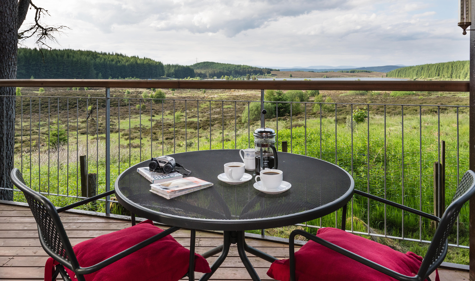 Braes Lodge View from Decking